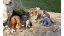 Betzold Animal set Velká sada