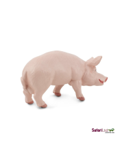Safari Kanec  domácí