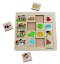 Beleduc Třídící puzzle Roční období