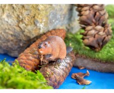 Betzold Animal set Severská zvířata