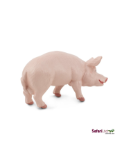 Safari Kanec  domácí