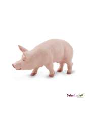 Safari Kanec  domácí