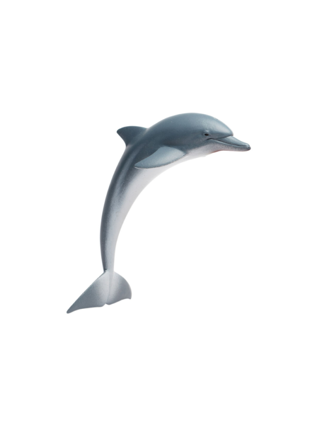 delfin