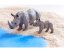 Betzold Animal set Africká zvířata