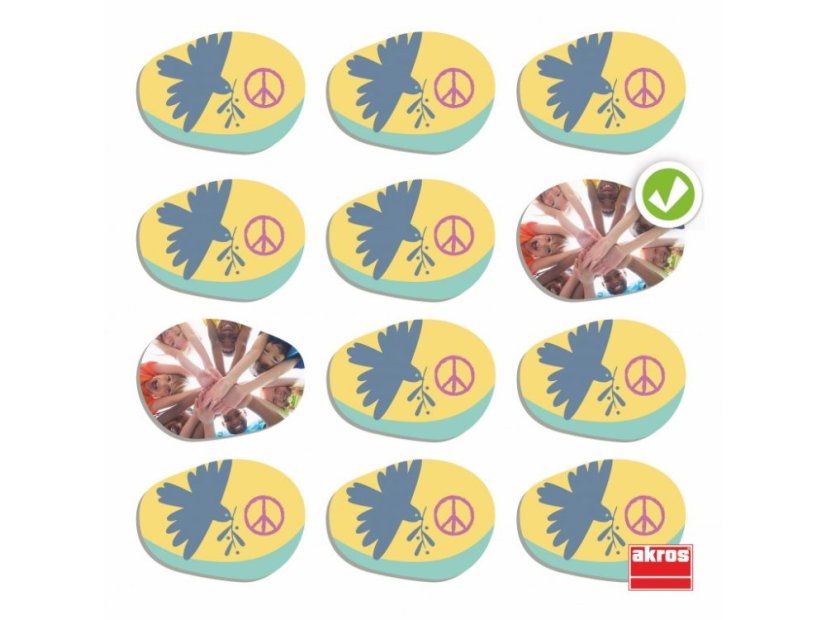 Akros Sociální začleňování