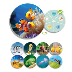1the animal world discover and classify