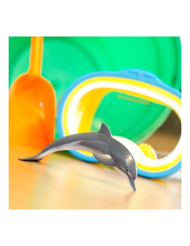 delfin (2)