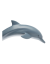 delfin (4) delfin (4)