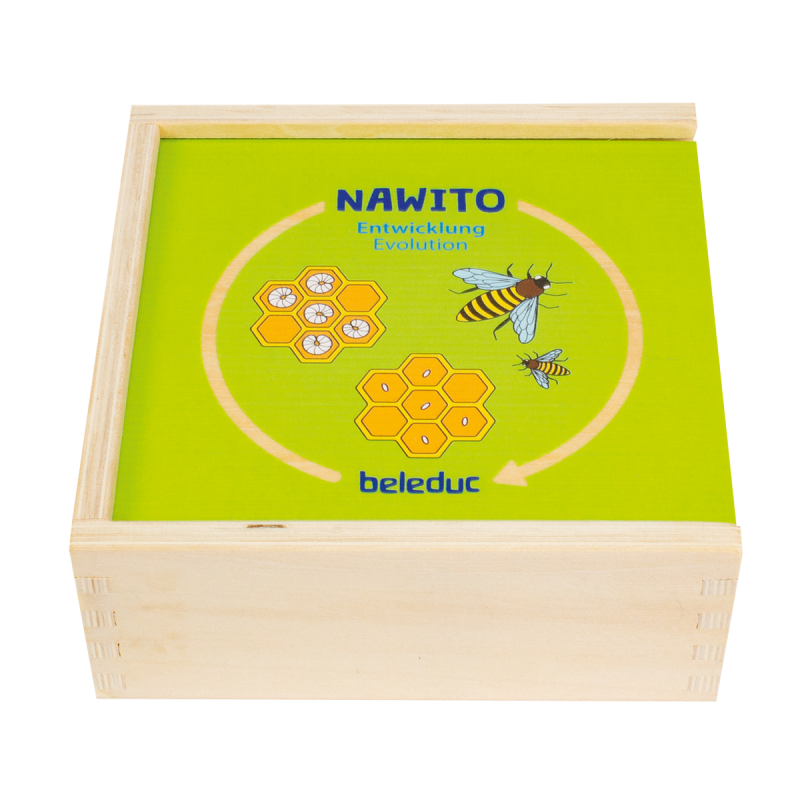 Beleduc Nawito Vývojový proces