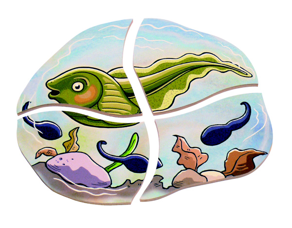 Beleduc Vývojové vrstvené puzzle Žabka