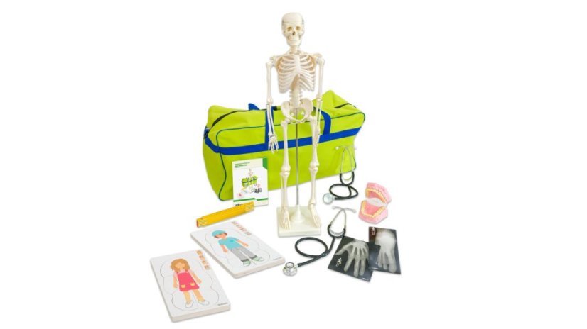 Betzold Body set 52301 a ZD