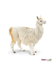 Safari Lama