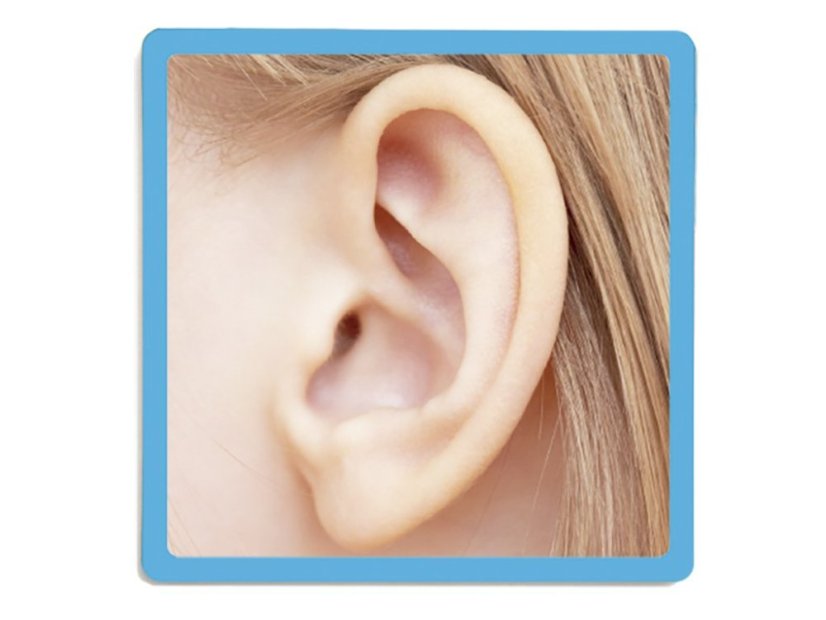 Akros 5 zmyslov