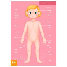 EurekaKids Magnetické puzzle Ľudské telo (100 dielikov)