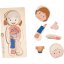 8375 1 vrstvene puzzle lidske telo divka chlapec