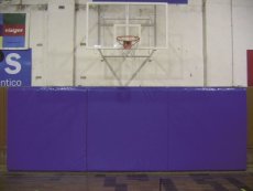 anadir ref 163 proteccion canasta baloncesto image(590x400)
