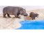 Betzold Animal set Africká zvířata