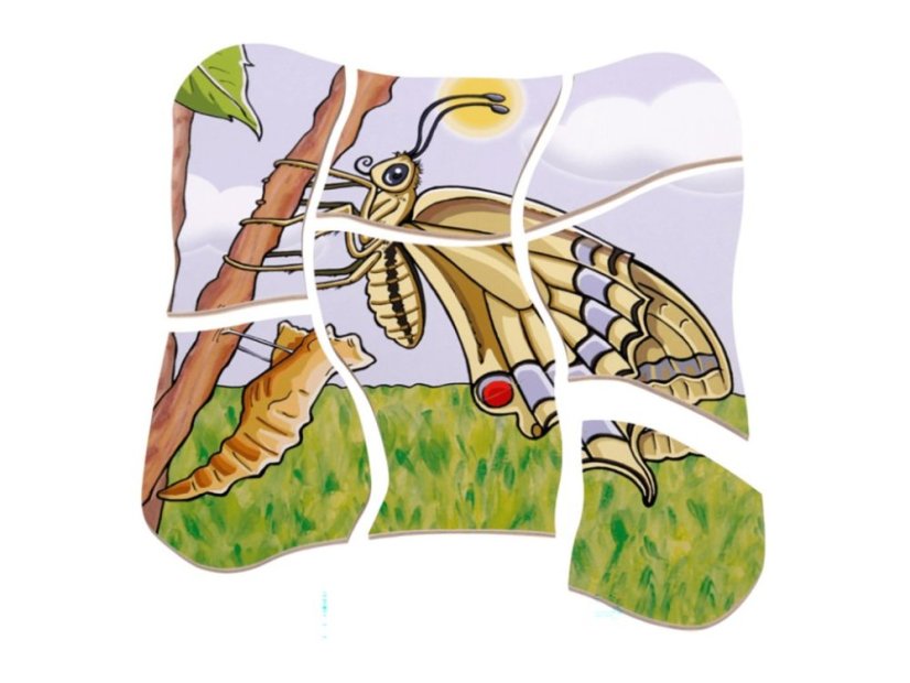 Beleduc Vývojové vrstvené puzzle MOTÝĽ
