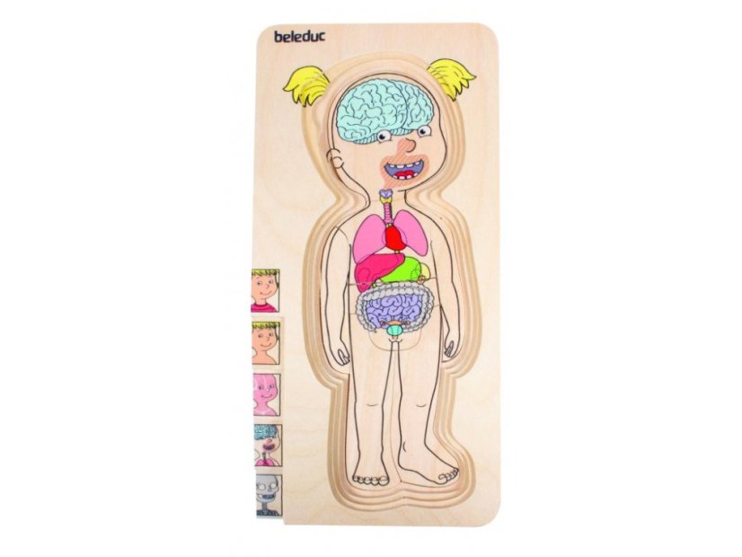 Beleduc Vrstvené puzzle Dívka
