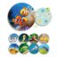 1the animal world discover and classify