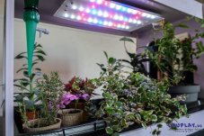 Eduplay Skleník s LED