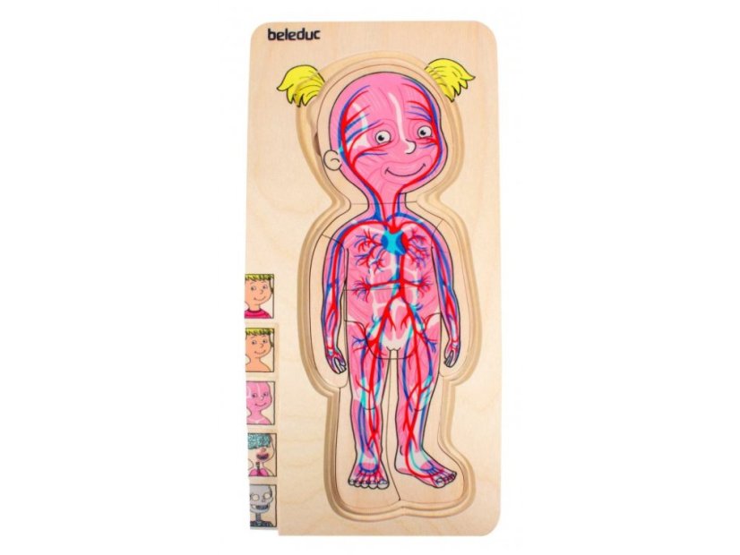 Beleduc Vrstvené puzzle Dívka