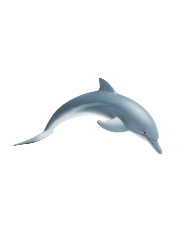 delfin (3)