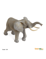 Safari Slon africký