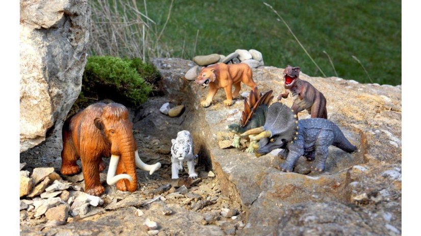 Betzold Animal set Velká sada
