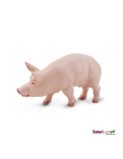 Safari Kanec  domácí