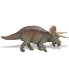 Safari Triceratops