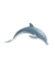 delfin (3) delfin (3)