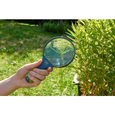 2483 1 haba terra kids lupa