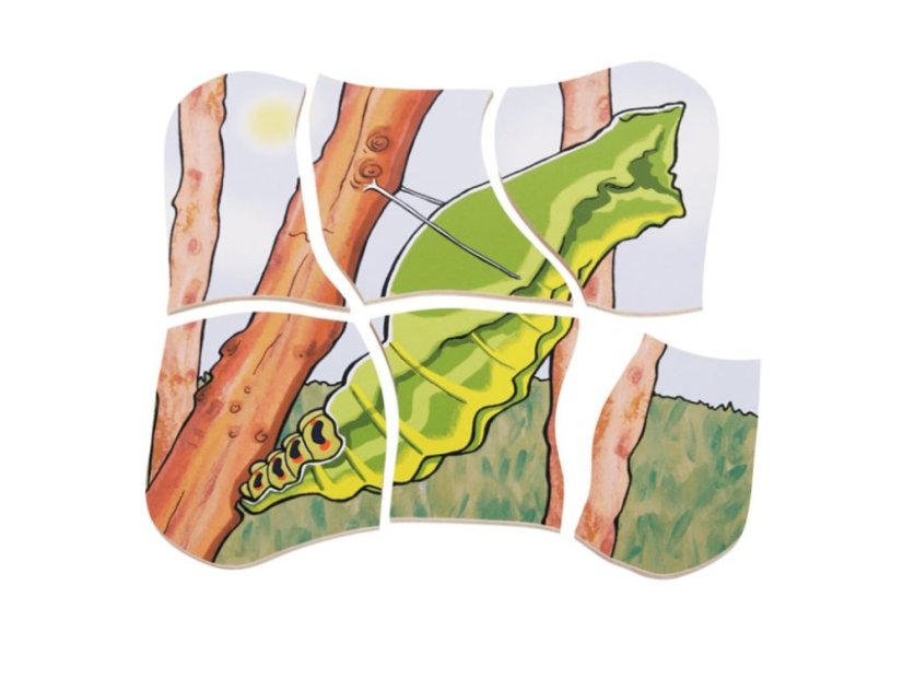 Beleduc Vývojové vrstvené puzzle MOTÝĽ