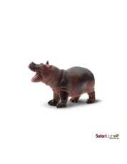 Safari Mládě hrocha