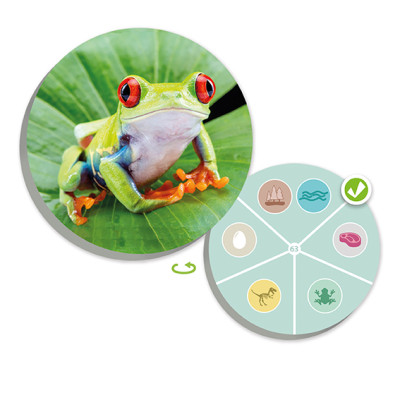 3the animal world discover and classify