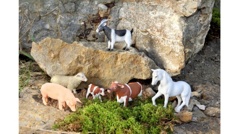 Betzold Animal set Velká sada