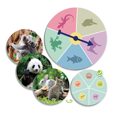 2the animal world discover and classify