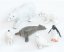 Betzold Arctic and Antarctic animals 6 pcs E 97832 a MD Betzold Arctic and Antarctic animals 6 pcs E 97832 a MD