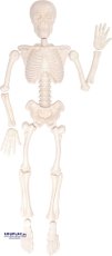 Eduplay Set báboviček Lidské tělo