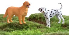 Betzold Animal set Domácí zvířata