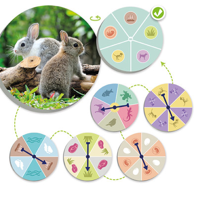 the animal world discover and classify